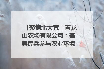 聚焦北大荒｜青龙山农场有限公司：基层民兵参与农业环境综合治理显效